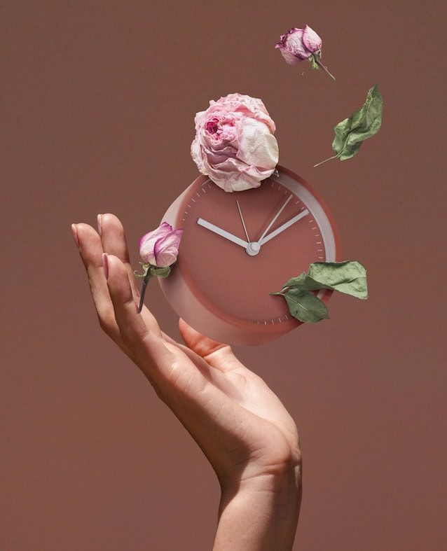 Menopause, Genitourinary Symptoms and the Latest BMS Update: What Every Woman Should Know