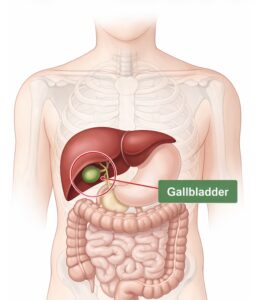 Gallbladder symptoms and gallstones | GP advice - AccessGP