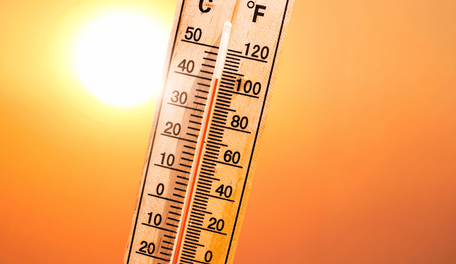 Managing in the heat: how to prevent heat exhaustion and know when to get help.